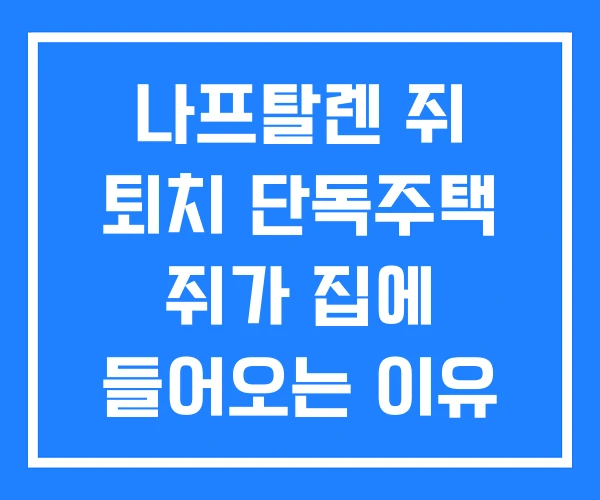 나프탈렌 쥐 퇴치 단독주택 쥐가 집에 들어오는 이유