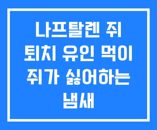 나프탈렌 쥐 퇴치 유인 먹이 쥐가 싫어하는 냄새