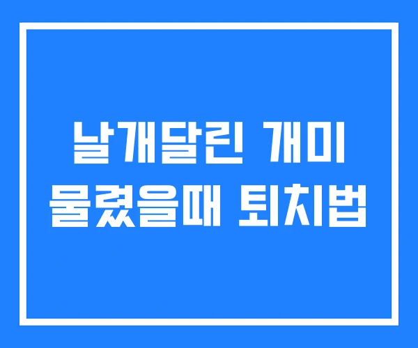 날개달린 개미 물렸을때 퇴치법