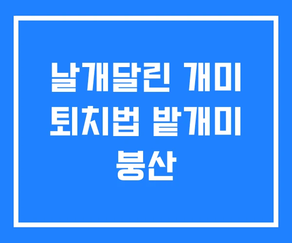 날개달린 개미 퇴치법 밭개미 붕산
