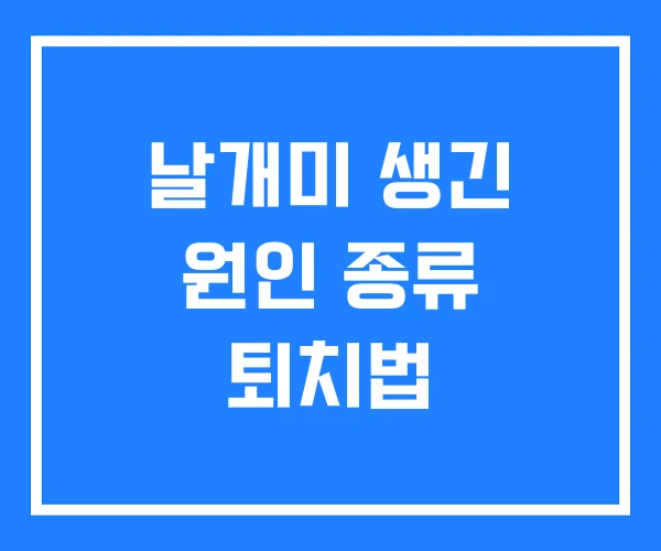 날개미 생긴 원인 종류 퇴치법 날개미 생긴 원인 종류 퇴치법
