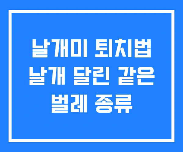 날개미 퇴치법 날개 달린 같은 벌레 종류 날개미 퇴치법 날개 달린 같은 벌레 종류