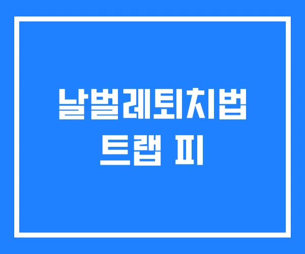날벌레퇴치법 트랩 피