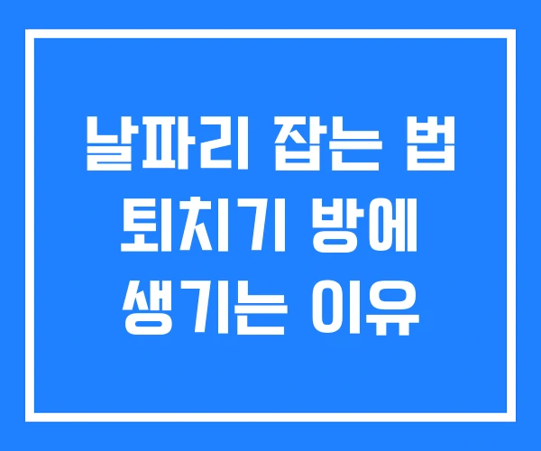 날파리 잡는 법 퇴치기 방에 생기는 이유