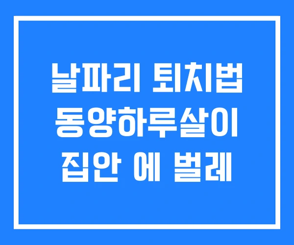 날파리 퇴치법 동양하루살이 집안 에 벌레 날파리 퇴치법 동양하루살이 집안 에 벌레