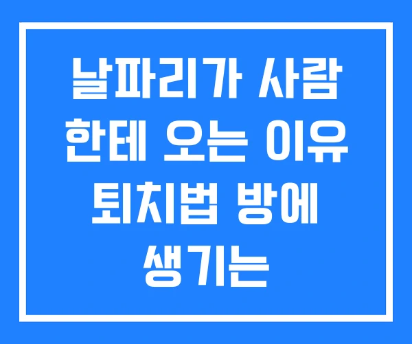 날파리가 사람 한테 오는 이유 퇴치법 방에 생기는