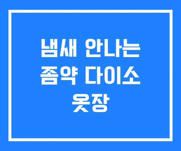 냄새 안나는 좀약 다이소 옷장 냄새 안나는 좀약 다이소 옷장