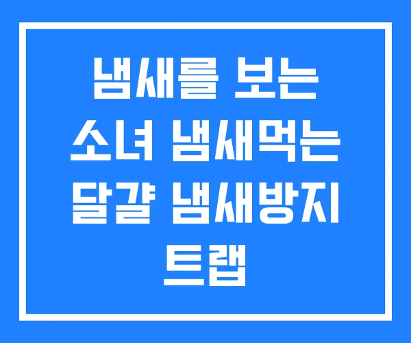 냄새를 보는 소녀 냄새먹는 달걀 냄새방지 트랩 냄새를 보는 소녀 냄새먹는 달걀 냄새방지 트랩