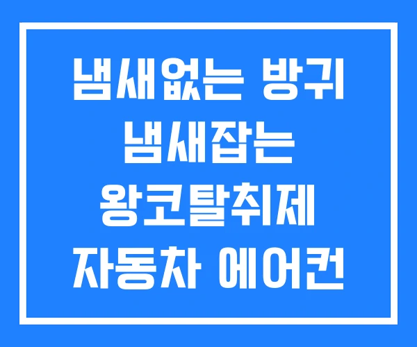 냄새없는 방귀 냄새잡는 왕코탈취제 자동차 에어컨 냄새제거