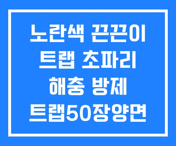 노란색 끈끈이 트랩 초파리 해충 방제 트랩50장양면 노란색 끈끈이 트랩 초파리 해충 방제 트랩50장양면