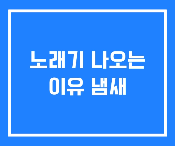 노래기 나오는 이유 냄새 노래기 나오는 이유 냄새