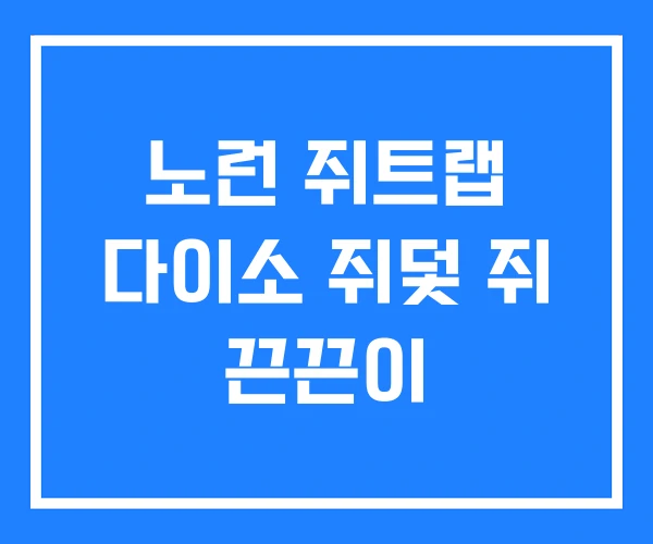 노런 쥐트랩 다이소 쥐덫 쥐 끈끈이