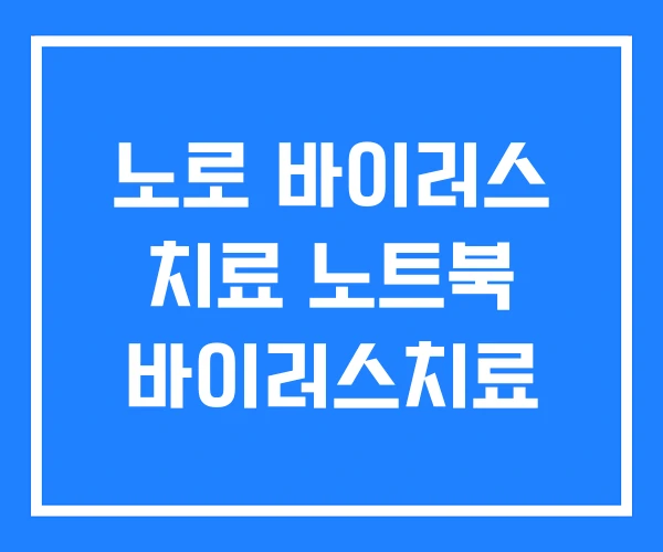 노로 바이러스 치료 노트북 바이러스치료 노로 바이러스 치료 노트북 바이러스치료