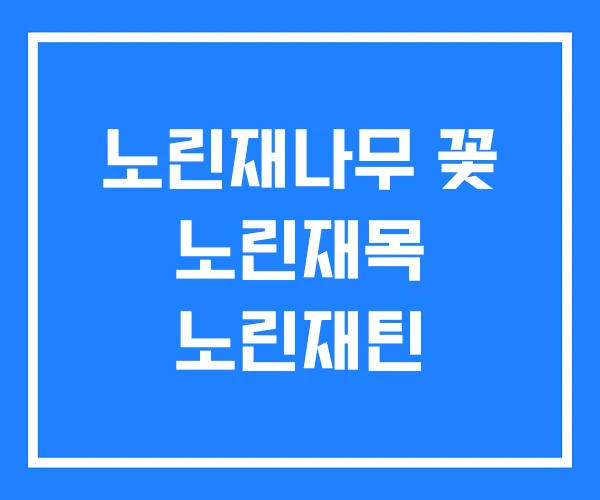 노린재나무 꽃 노린재목 노린재틴 노린재나무 꽃 노린재목 노린재틴
