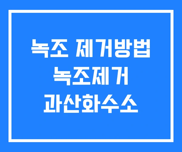 녹조 제거방법 녹조제거 과산화수소 녹조 제거방법 녹조제거 과산화수소