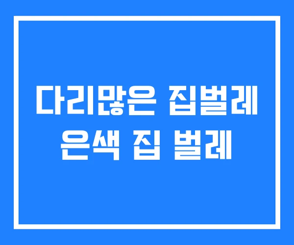 다리많은 집벌레 은색 집 벌레