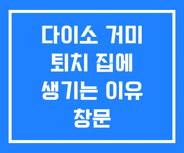 다이소 거미 퇴치 집에 생기는 이유 창문 다이소 거미 퇴치 집에 생기는 이유 창문
