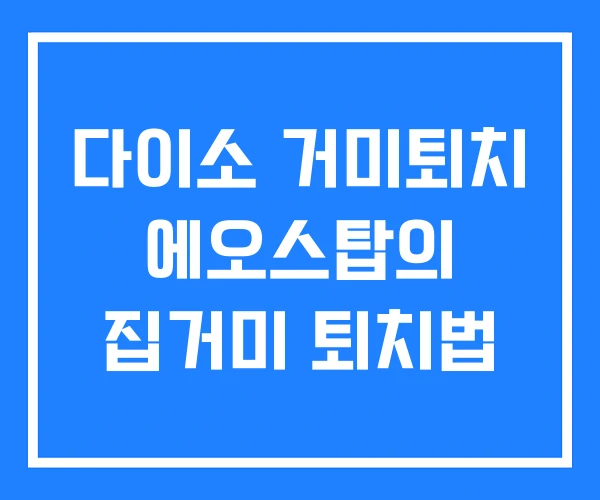 다이소 거미퇴치 에오스탑의 집거미 퇴치법 다이소 거미퇴치 에오스탑의 집거미 퇴치법