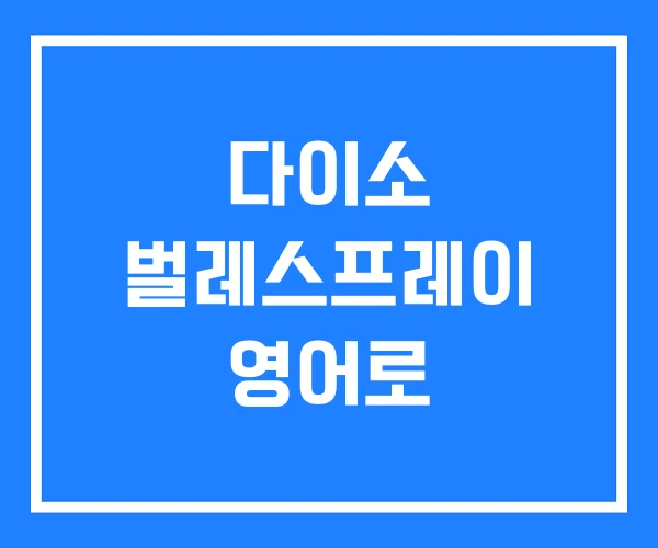 다이소 벌레스프레이 영어로