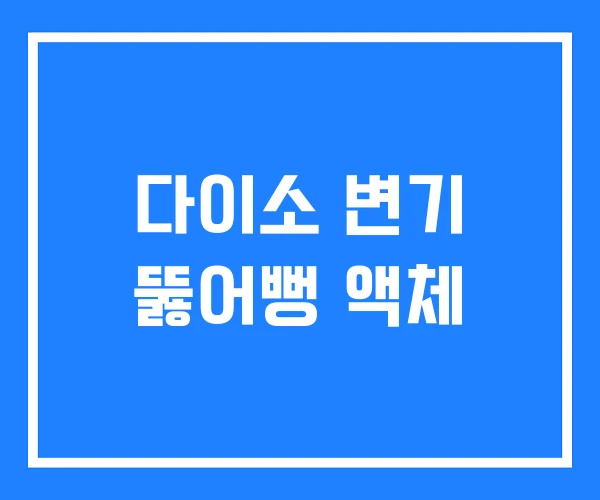 다이소 변기 뚫어뻥 액체 다이소 변기 뚫어뻥 액체