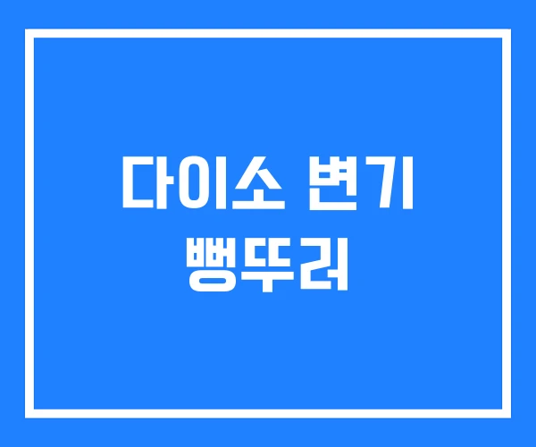 다이소 변기 뻥뚜러 다이소 변기 뻥뚜러
