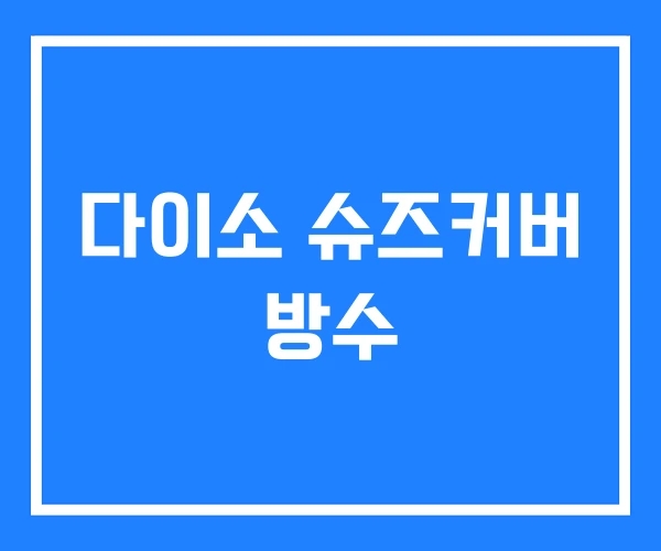 다이소 슈즈커버 방수