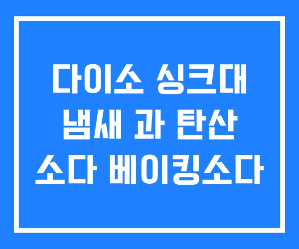다이소 싱크대 냄새 과 탄산 소다 베이킹소다