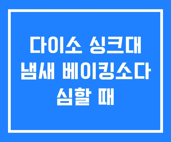 다이소 싱크대 냄새 베이킹소다 심할 때 다이소 싱크대 냄새 베이킹소다 심할 때
