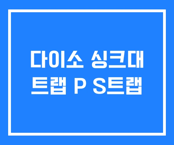 다이소 싱크대 트랩 P S트랩