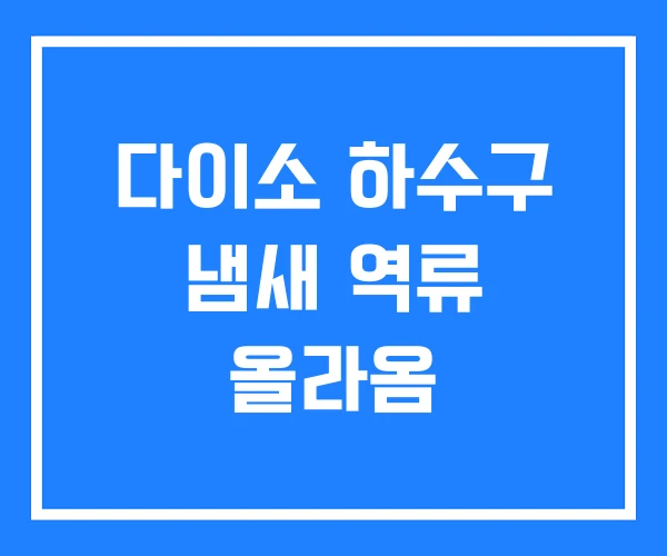 다이소 하수구 냄새 역류 올라옴 다이소 하수구 냄새 역류 올라옴