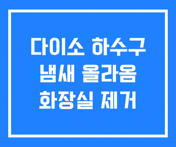 다이소 하수구 냄새 올라옴 화장실 제거 다이소 하수구 냄새 올라옴 화장실 제거