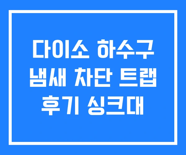 다이소 하수구 냄새 차단 트랩 후기 싱크대