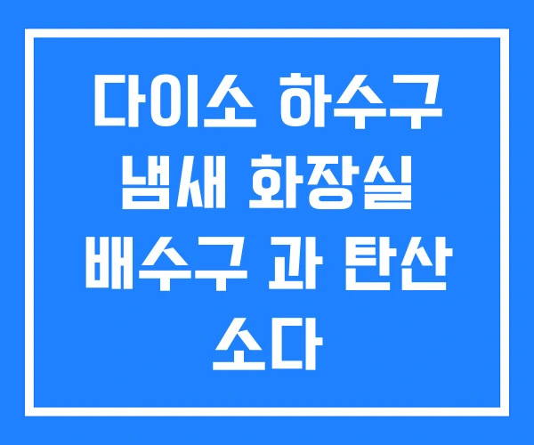 다이소 하수구 냄새 화장실 배수구 과 탄산 소다 다이소 하수구 냄새 화장실 배수구 과 탄산 소다