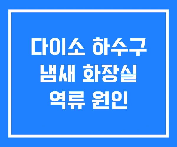 다이소 하수구 냄새 화장실 역류 원인 다이소 하수구 냄새 화장실 역류 원인