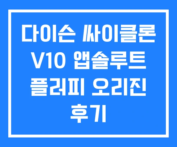 다이슨 싸이클론 V10 앱솔루트 플러피 오리진 후기