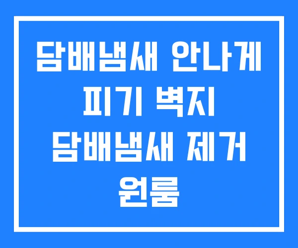 담배냄새 안나게 피기 벽지 담배냄새 제거 원룸