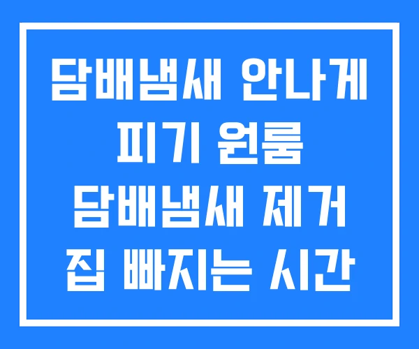 담배냄새 안나게 피기 원룸 담배냄새 제거 집 빠지는 시간 담배냄새 안나게 피기 원룸 담배냄새 제거 집 빠지는 시간