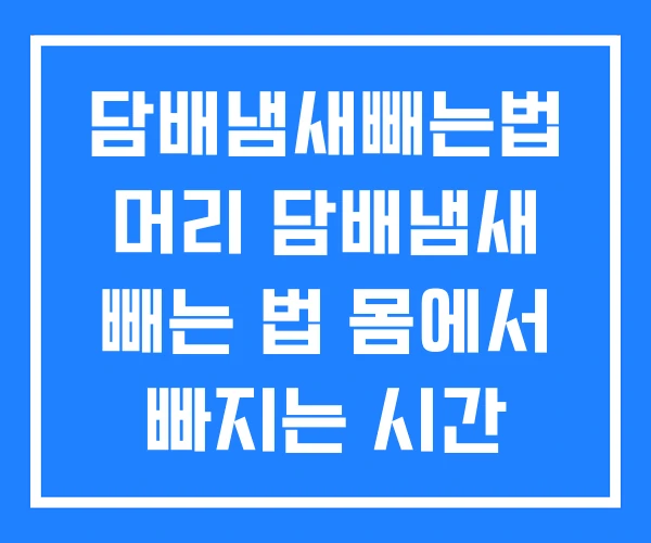 담배냄새빼는법 머리 담배냄새 빼는 법 몸에서 빠지는 시간