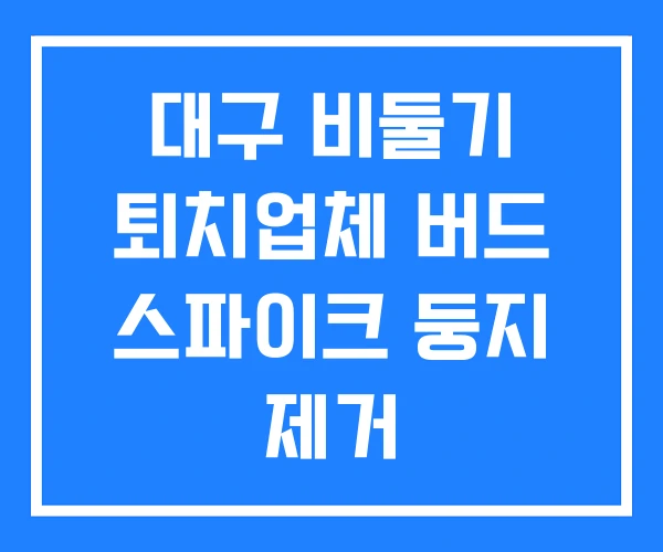대구 비둘기 퇴치업체 버드 스파이크 둥지 제거 대구 비둘기 퇴치업체 버드 스파이크 둥지 제거