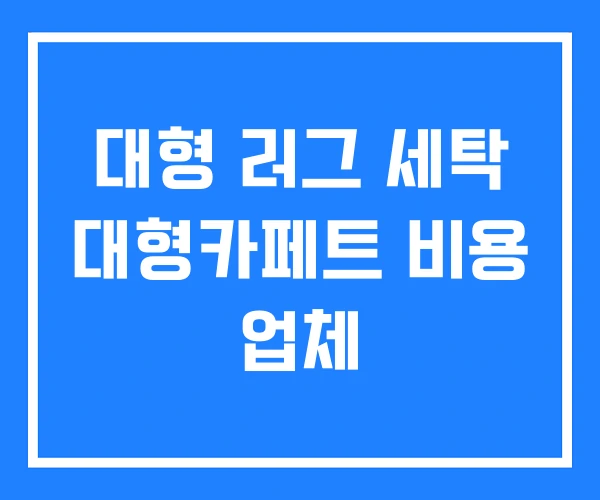 대형 러그 세탁 대형카페트 비용 업체