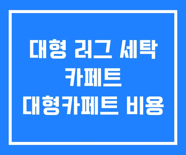 대형 러그 세탁 카페트 대형카페트 비용