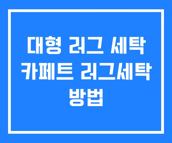 대형 러그 세탁 카페트 러그세탁 방법
