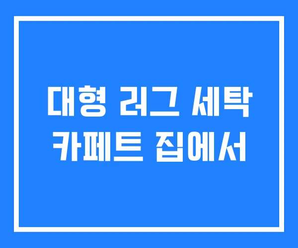 대형 러그 세탁 카페트 집에서 대형 러그 세탁 카페트 집에서