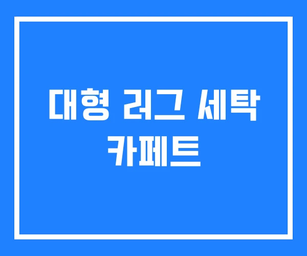 대형 러그 세탁 카페트