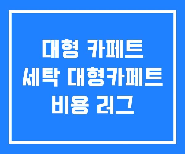 대형 카페트 세탁 대형카페트 비용 러그 대형 카페트 세탁 대형카페트 비용 러그