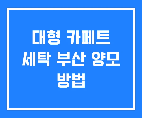 대형 카페트 세탁 부산 양모 방법