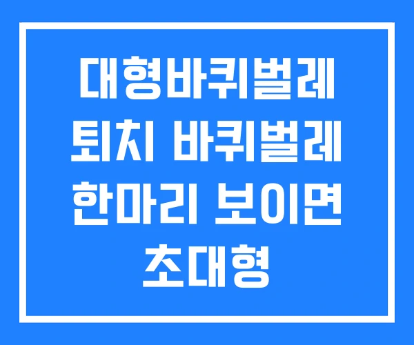 대형바퀴벌레 퇴치 바퀴벌레 한마리 보이면 초대형