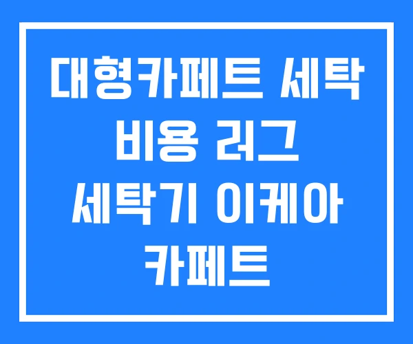 대형카페트 세탁 비용 러그 세탁기 이케아 카페트 대형카페트 세탁 비용 러그 세탁기 이케아 카페트