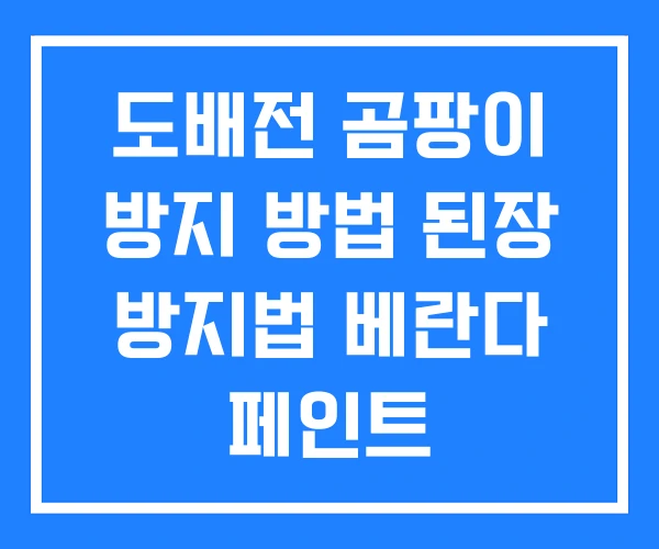 도배전 곰팡이 방지 방법 된장 방지법 베란다 페인트
