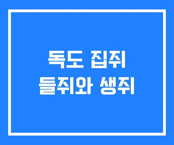 독도 집쥐 들쥐와 생쥐 독도 집쥐 들쥐와 생쥐